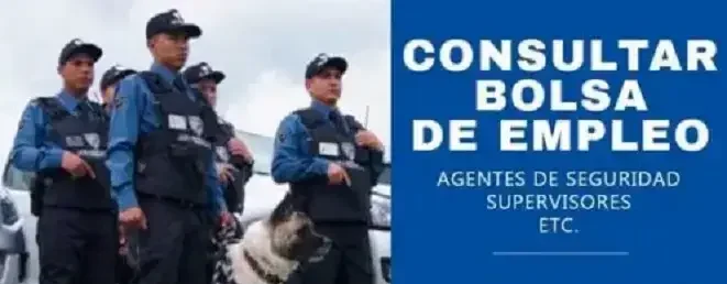 consultar bolsa empleo línea