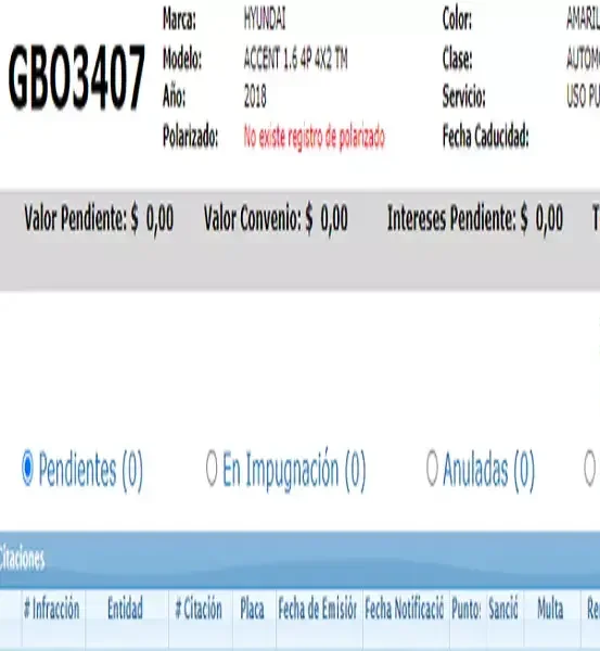 consultar-permiso polarizado ecuador