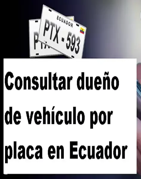 Consultar-dueno-de-vehiculo-por-placa