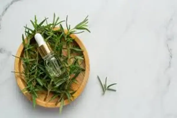 Beneficios del romero en la aromaterapia