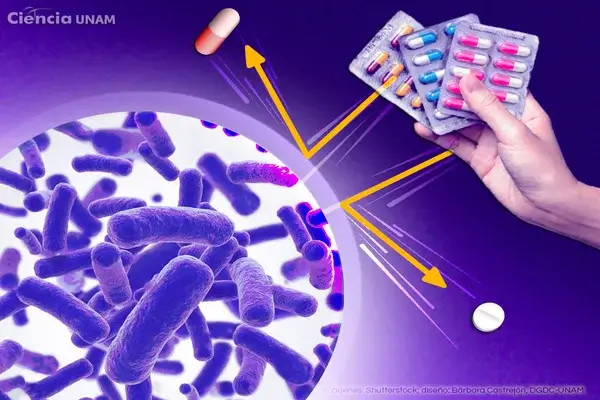 resistencia a antimicrobianos