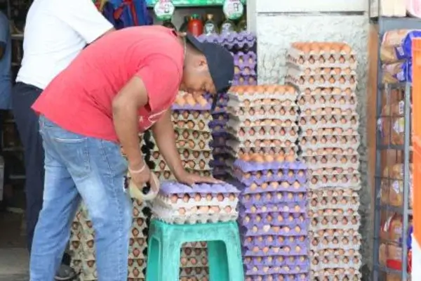 El precio del huevo se desploma