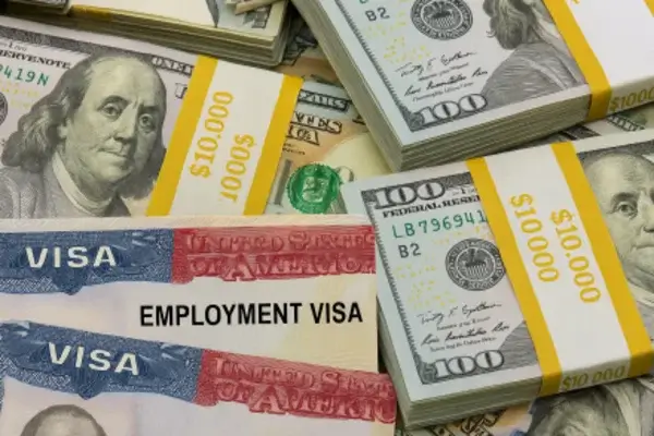 Fraude de visas cómo operaba la red criminal