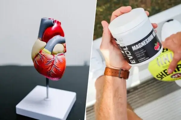 Tu corazón tiene un freno de mano natural contra el envejecimiento