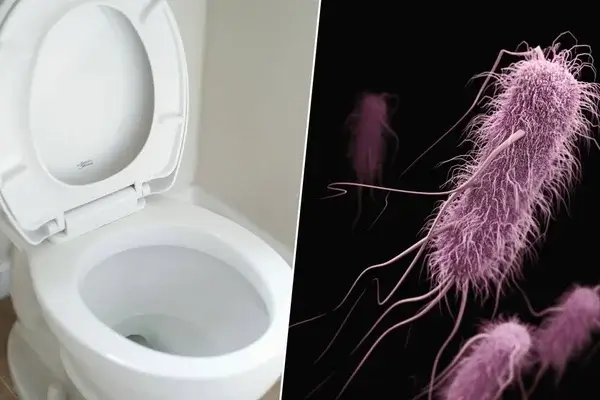 bajando la tapa del inodoro por higiene