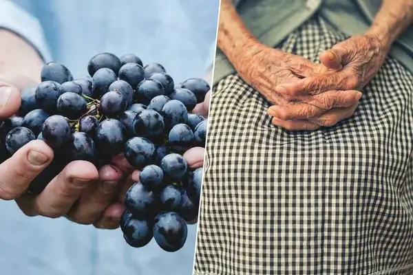 forma de que vivamos 150 años con uvas
