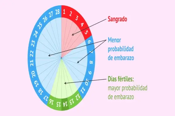 período menstrual