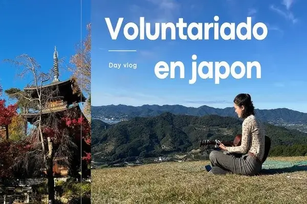 Cómo hacer un voluntariado en Japón