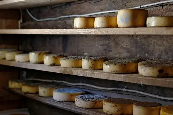 La idea de que "toda grasa saturada es mala" está perdiendo fuerza