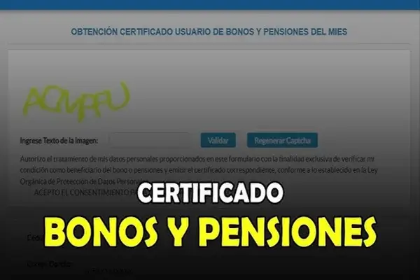 Como Obtener el Certificado de Bono y Pensiones