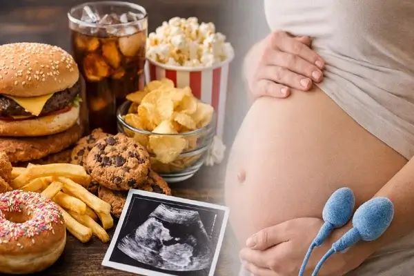 Cómo afectan los ultraprocesados a la fertilidad