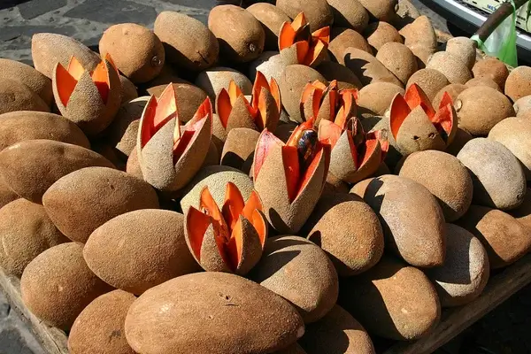 Cuál es la mejor manera de consumir mamey