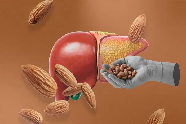 Almendras y vitamina E aliados naturales contra el hígado graso