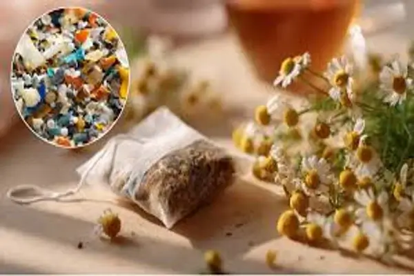 identificar microplásticos en sus bolsas de té