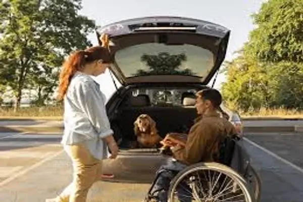 web para exonerar el Pico y placa por discapacidad