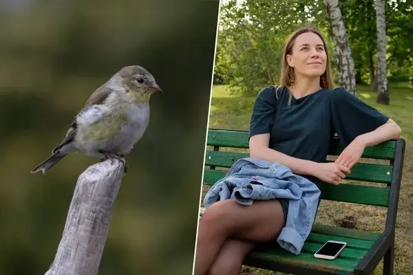 A los pájaros de las ciudades les dan más miedo las mujeres que los hombres