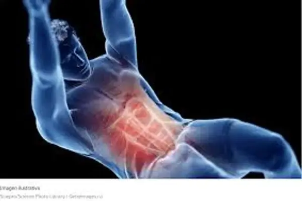 Contraer abdominales podría beneficiar la salud cerebral