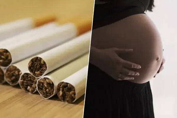 Las tasas de fertilidad se han desplomado en todo el mundo