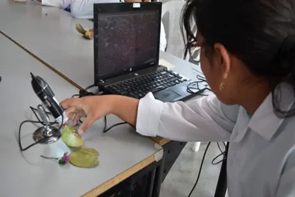 Colonias y cursos vacacionales en Quito