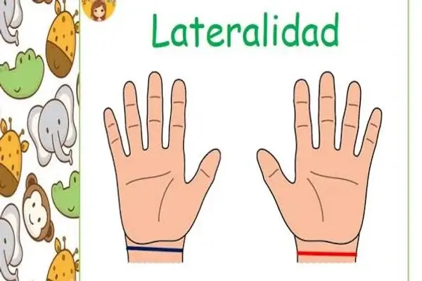 Lateralidad Derecha e Izquierda
