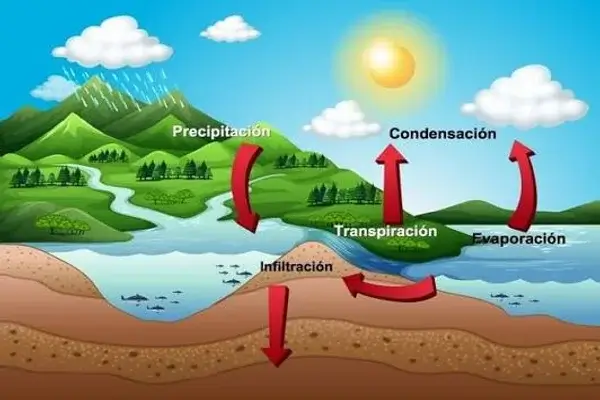 Ciclo del Agua y Estados de la Materia