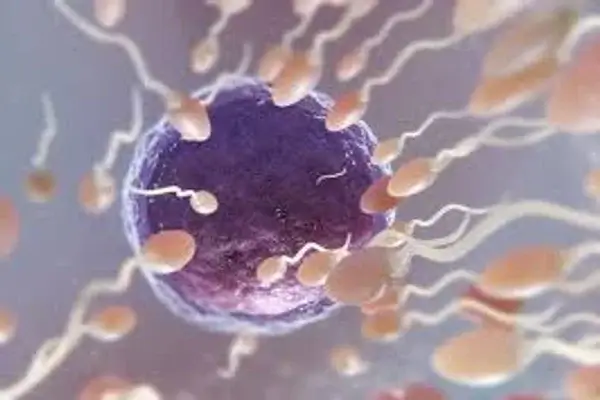 El esperma también envejece