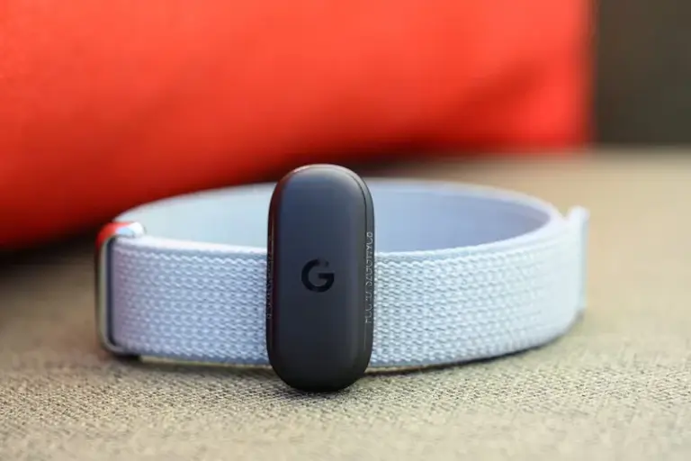 Fitbit Air