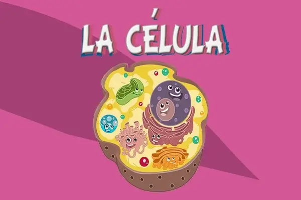 La Célula