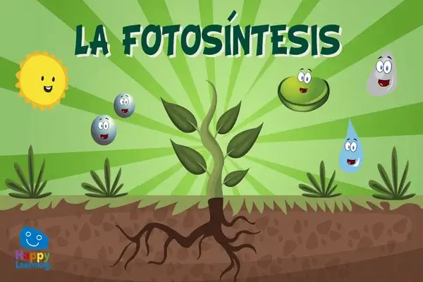 La Fotosíntesis para Niños
