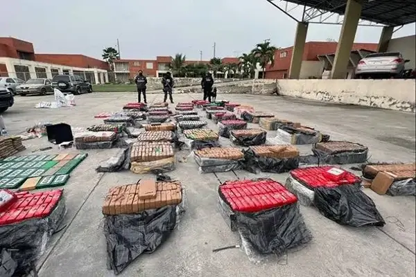 denunciar de manera anónima actividades de narcotráfico