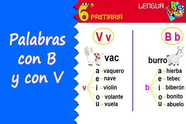 Dictados con B y V