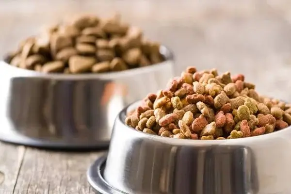 Ecuador incluye las croquetas para perro en la Canasta Básica