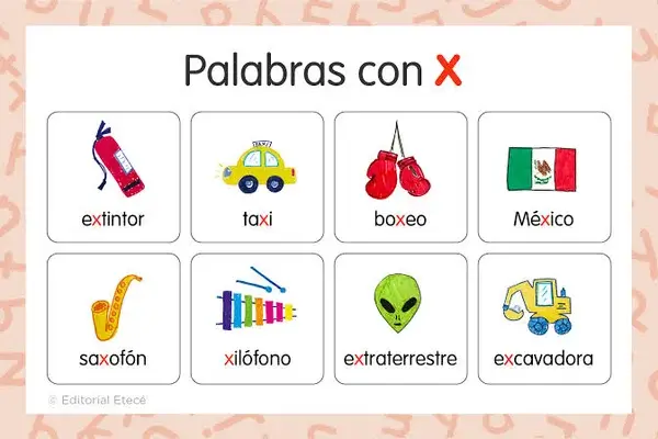 Palabras con X