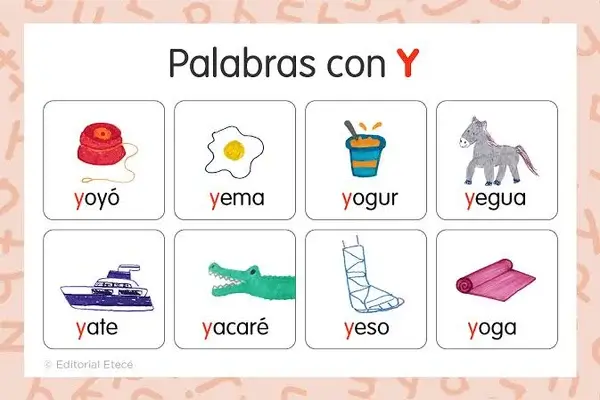 Palabras con X