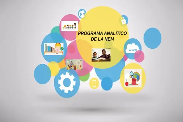 Programa Analítico NEM