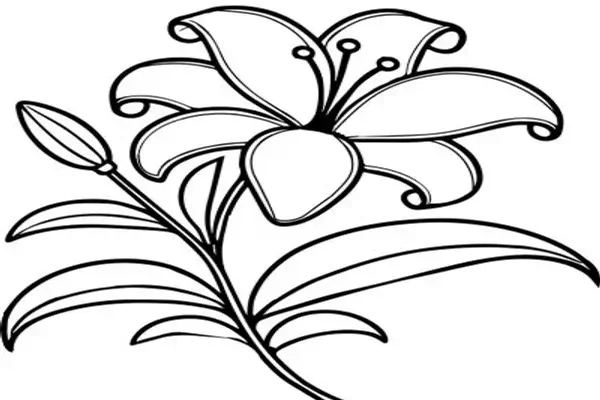 flores para Colorear