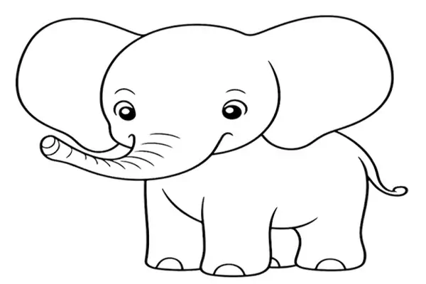 Animales para Colorear