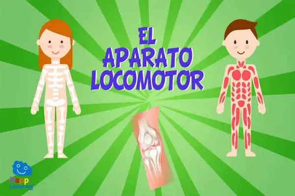 Aparato Locomotor para Niños