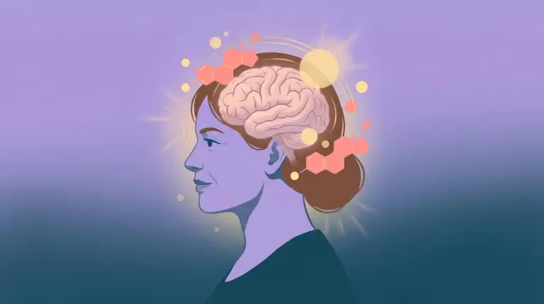 Hormonas femeninas transforman físicamente el cerebro