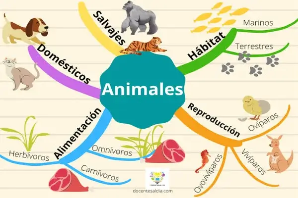 Mapa Mental para Niños