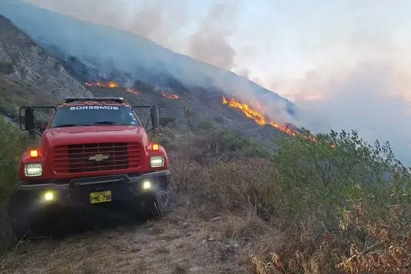Quemar hierba seca y basura en Quito se castiga con multas