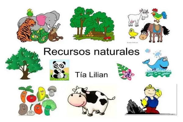 Recursos Naturales para Niños