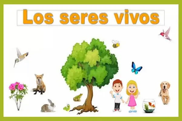 Seres Vivos para Niños