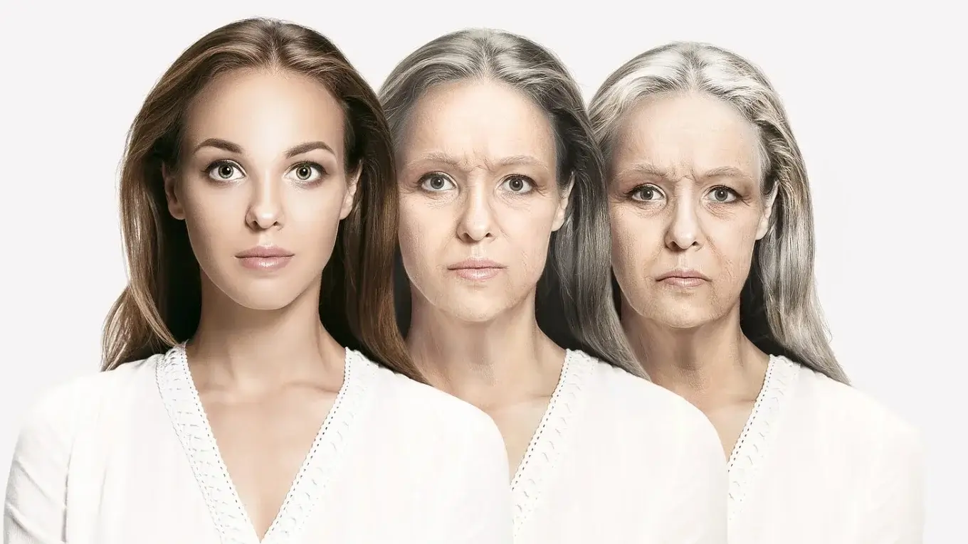 A qué edad el organismo comienza a envejecer