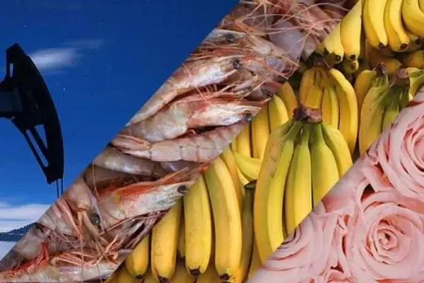 Cuáles Son los Productos que Importa Ecuador
