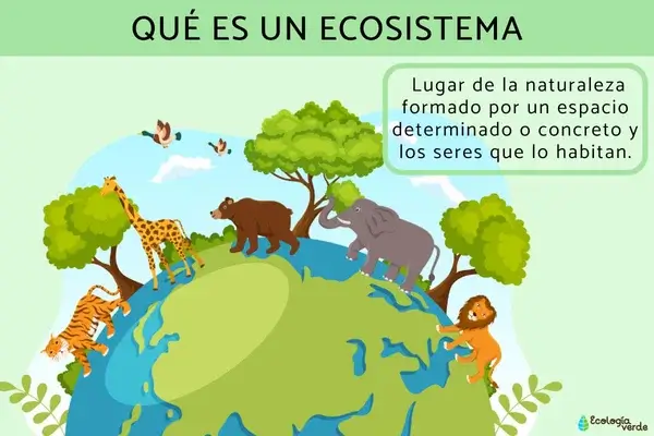 Ecosistemas para Niños