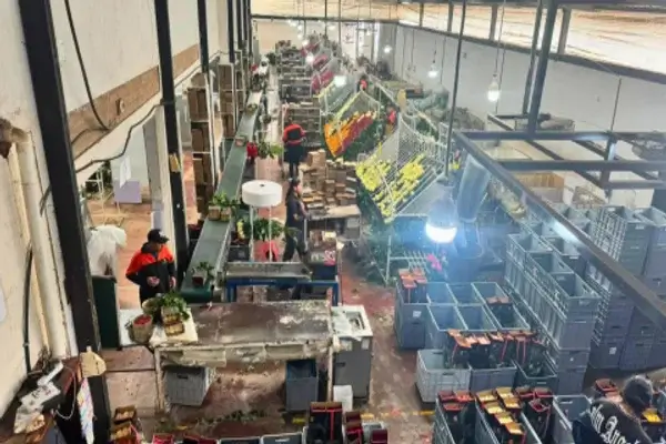 FMI mejora las proyecciones de crecimiento para Ecuador
